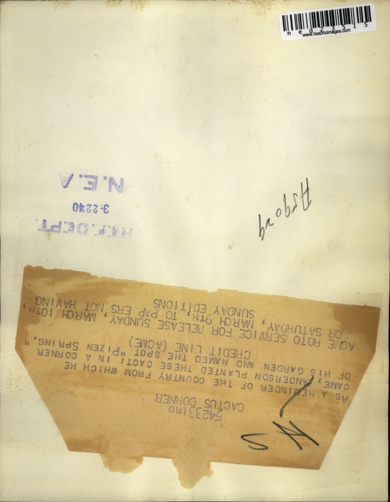 1940 Press Photo A cactus garden planted by Anderson named Pizen Spring