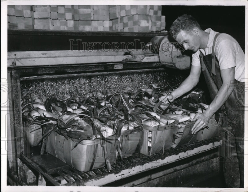 Load image into Gallery viewer, 1952 Press Photo James Suttle &amp; hydro cooler for N Ohio Growers Assoc
