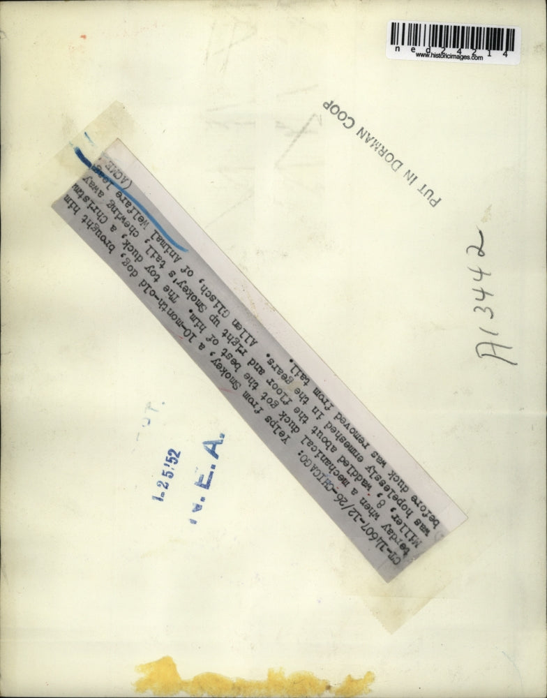 1951 Press Photo Allen Glisch of Animal Welfare League with dog, Smokey