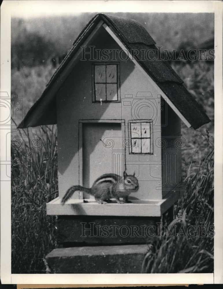 Load image into Gallery viewer, 1942 Press Photo A Small House Was Made For A Chipmonk
