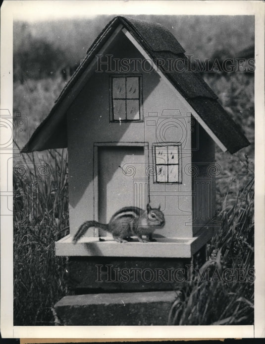 1942 Press Photo A Small House Was Made For A Chipmonk