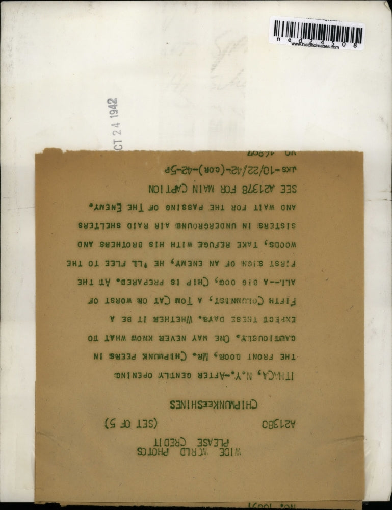 1942 Press Photo A Small House Was Made For A Chipmonk