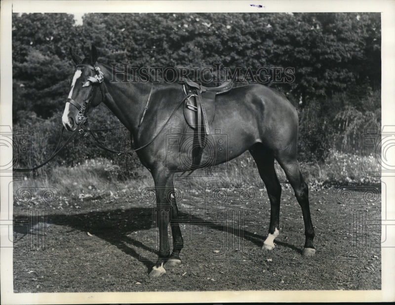 Load image into Gallery viewer, 1937 Press Photo Topper Wins Novice Ponies Class at Meadow Brook Club, Westbury,
