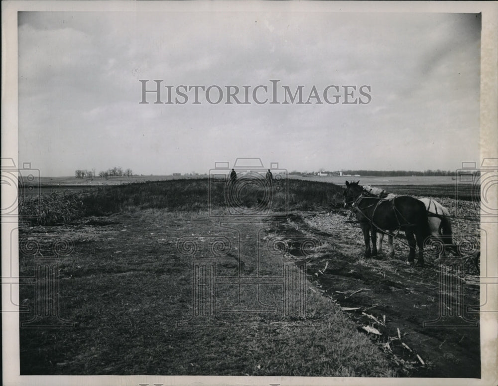 1948 Press Photo Mound of Earth Rises in Field of Henry Huppenthal in Cedar Lake