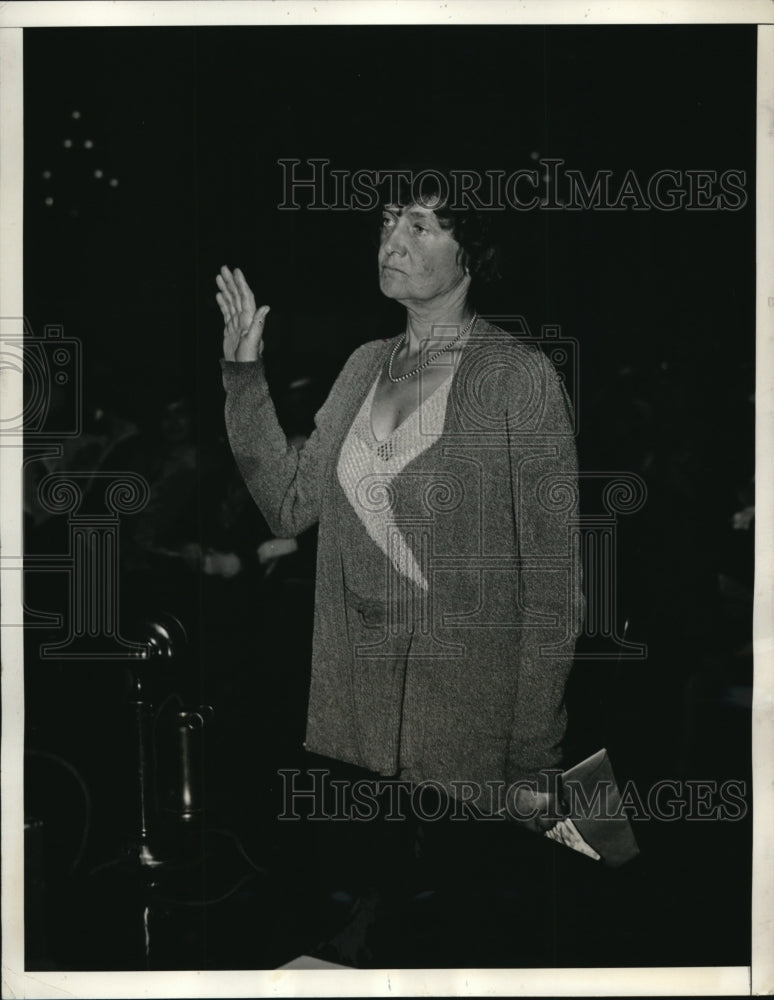 1934 Press Photo Red Plot Alice Barrows Hostess Washington D.C April 17th Stalin