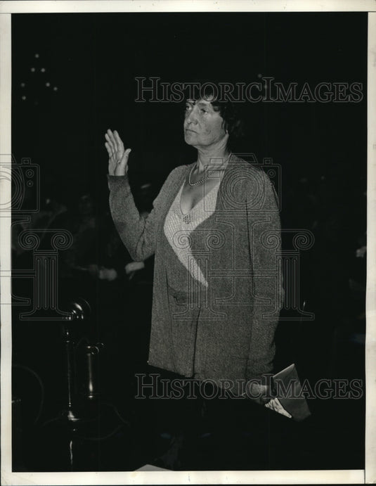 1934 Press Photo Red Plot Alice Barrows Hostess Washington D.C April 17th Stalin