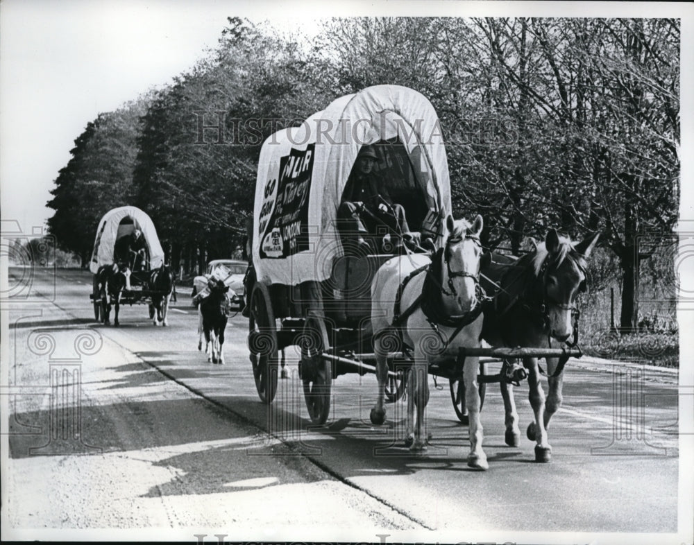 1960 Press Photo London Ontario Canada Covered wagons make 130 mile trip from