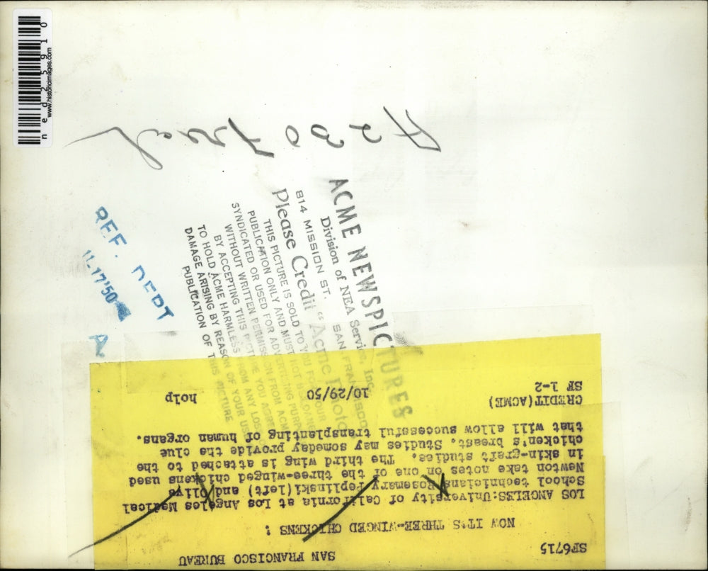 1950 Press Photo Rosemary Peplinski And Oliva Newton Take Notes On Chicken