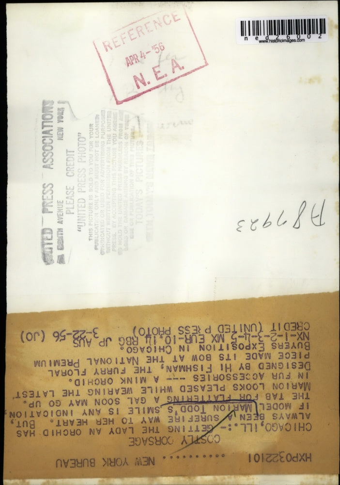 1956 Press Photo Marion Todd Looks Pleased While Wearing Mink Orchid