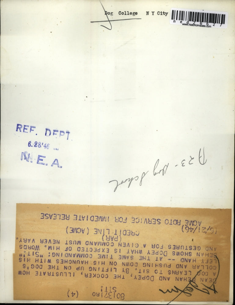 1946 Press Photo Dean Behan Dopey Dog Demonstrates Teaching For Animals