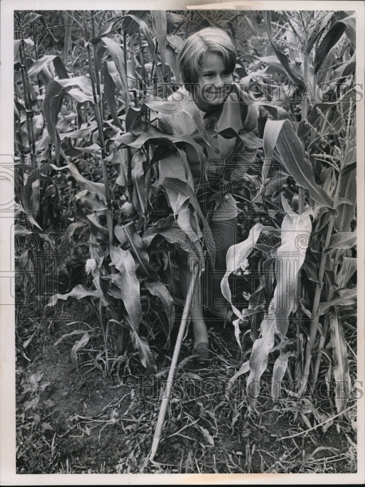 Load image into Gallery viewer, 1965 Press Photo Cindy Teilieria In Corn Field

