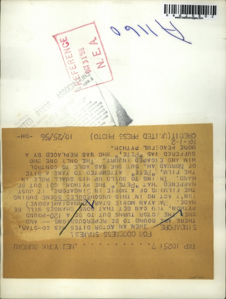 1956 Press Photo Maiyan Movie star Normadiah battles Python