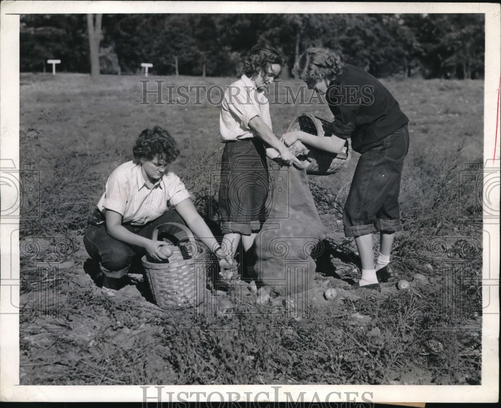 1944 Press Photo Picking potatoes on the Wellesley College Campus are Marie