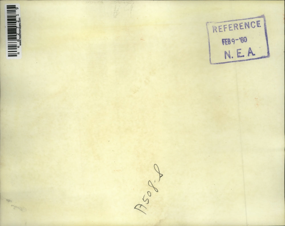 1960 Press Photo Waldo, 45-inch Sand Tiger Shark, gnaws on packing material