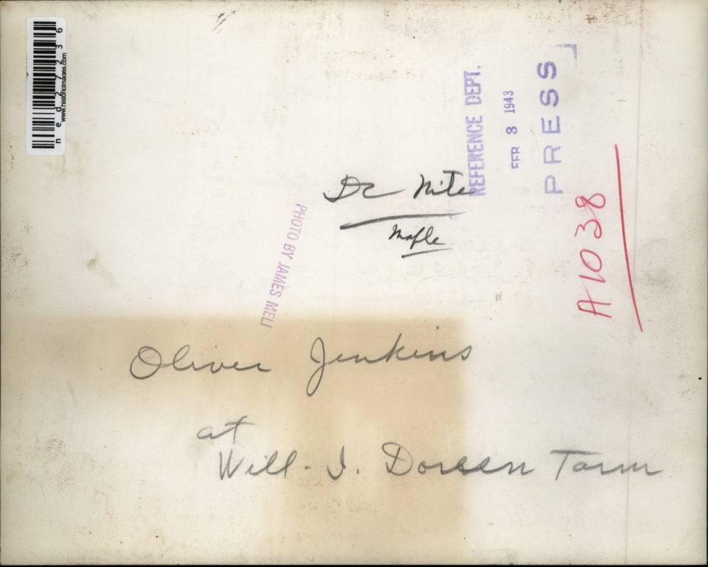 1943 Press Photo Oliver Jenkins at Will Doreen Tree farm tapping a tree for sap