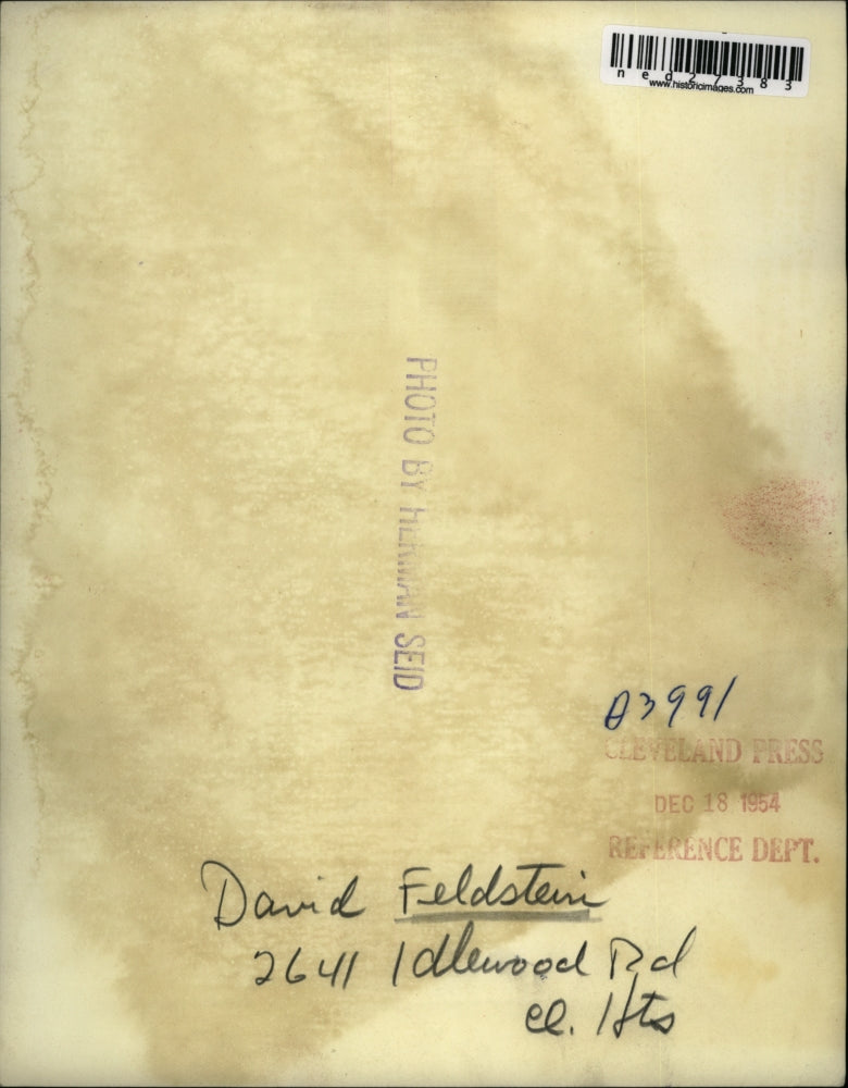 1954 Press Photo David Feldstein poses.