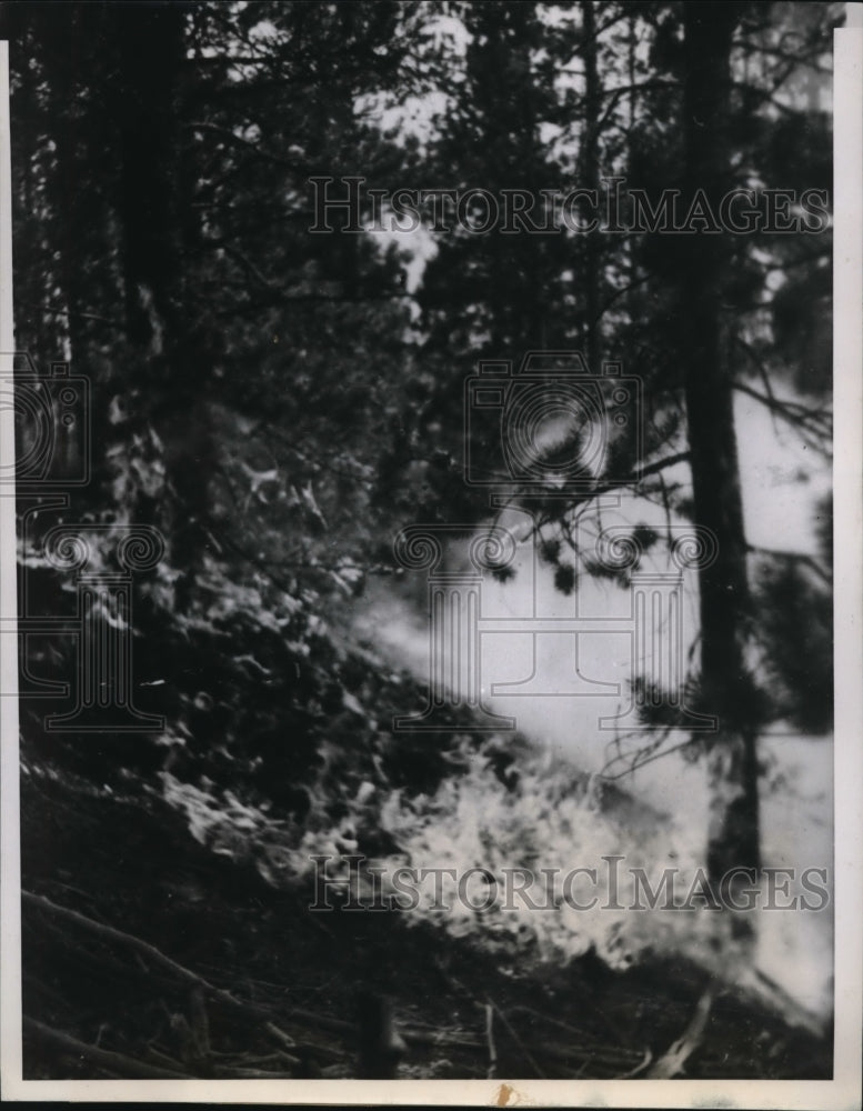 1939 Press Photo Leadville COlo Fanned by 50 MPH wind flames are licking