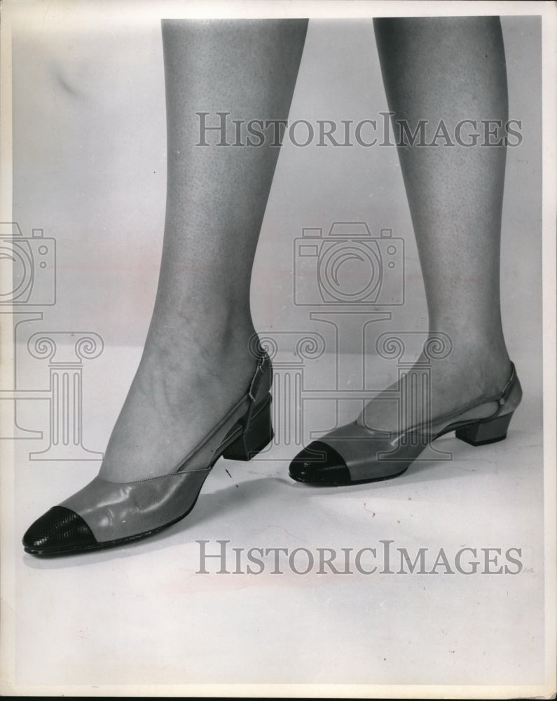 1967 Press Photo Papogallo