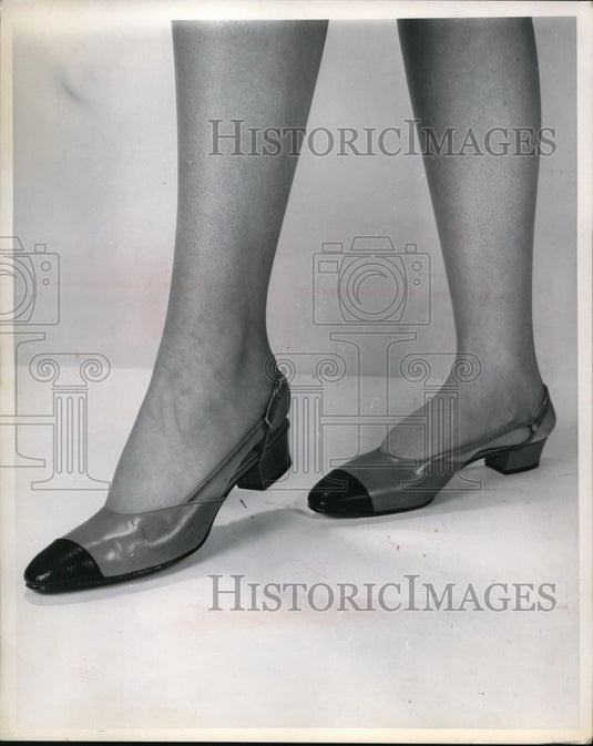 1967 Press Photo Papogallo