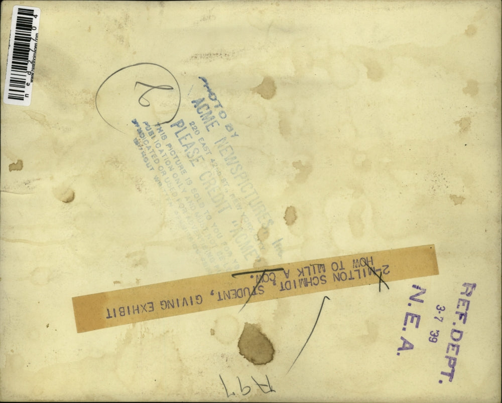 1939 Press Photo Two million Schmidt, student, giving exhibit how to milk a cow.