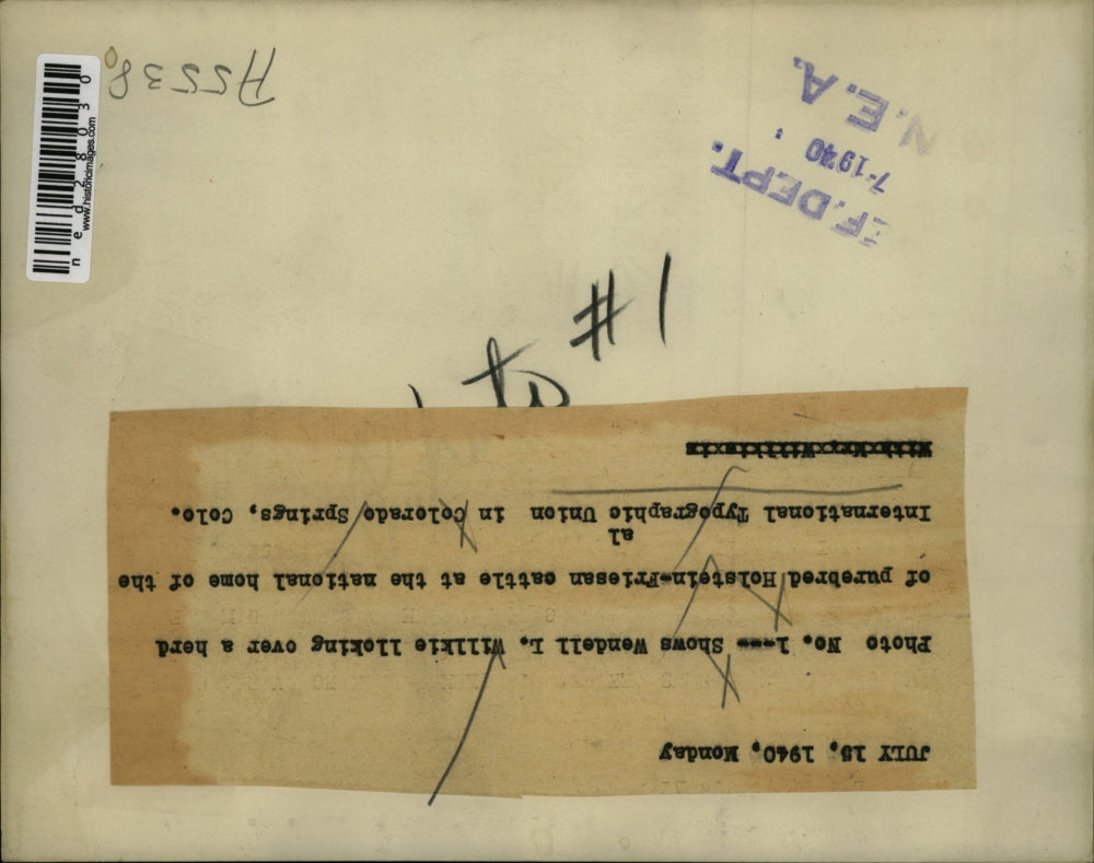 1940 Press Photo Photo shows Wendell L Willkie looking over a herd of purebred