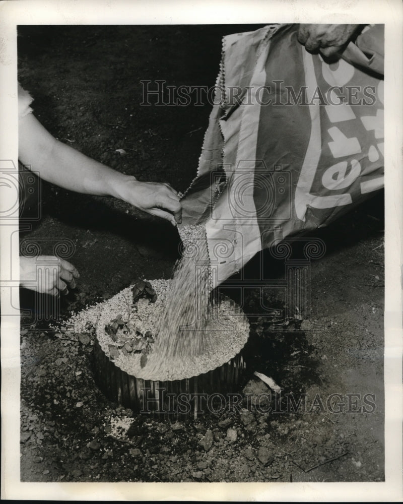 1960 Press Photo Terra-Lite Vermiculite product being poured into cylinder