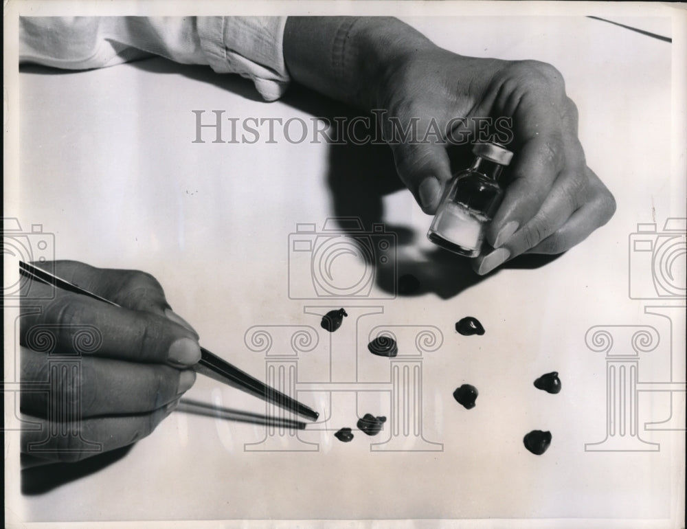1949 Press Photo vial of ACTH and anterior lobe of pituitary glands
