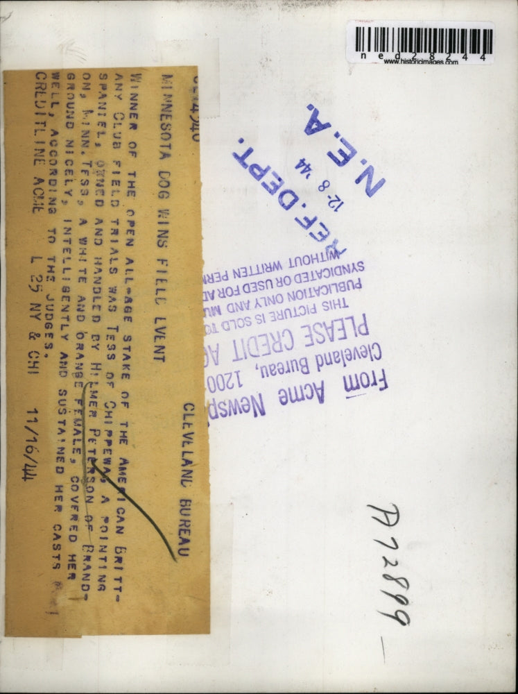 1944 Press Photo Hilmer Peterson with award winning Spaniel, Tess