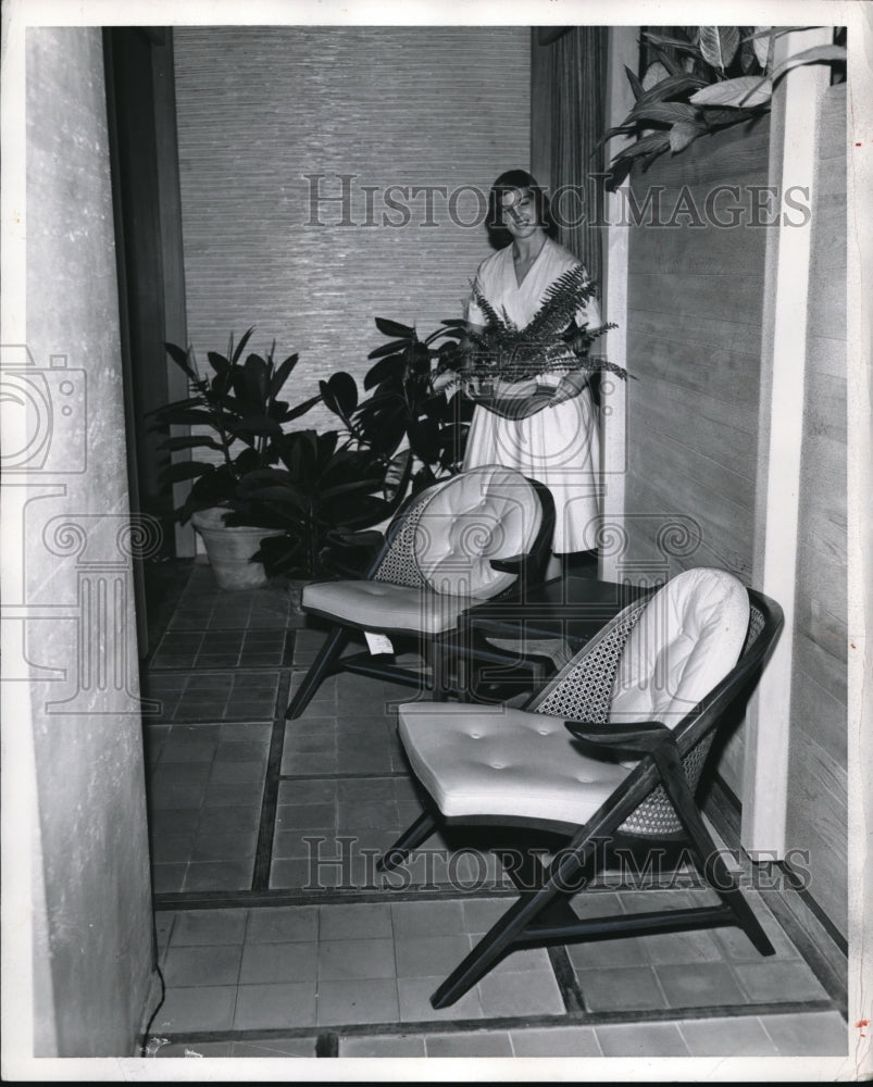 1957 Press Photo Brilliant yellow chairs in black