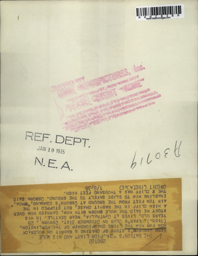 1936 Press Photo Vern Osborns story of chasing a rabbit on Mule back won for him