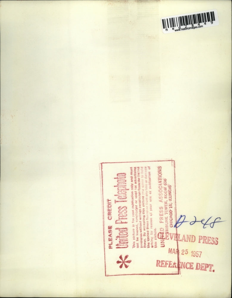 1957 Press Photo Sheila McKeown Amongst Spring Cherry Blossoms in Washington D.C