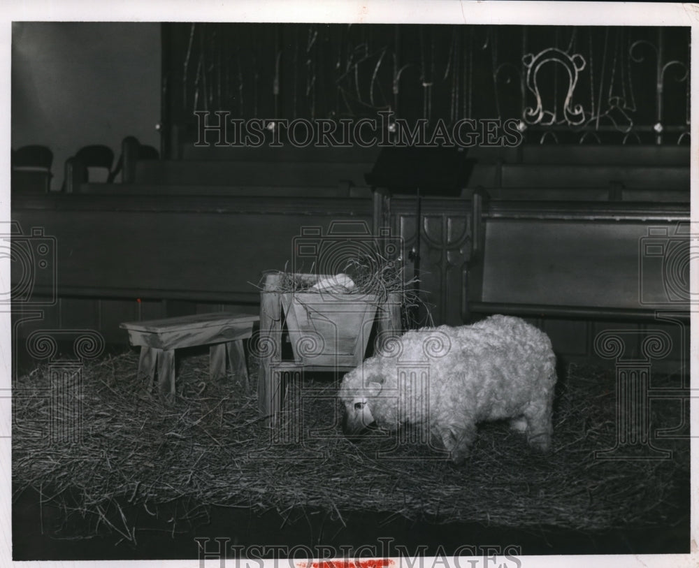 1957 Press Photo Nativity scene at Lakewood Methodist on Detroit & Summit Ave