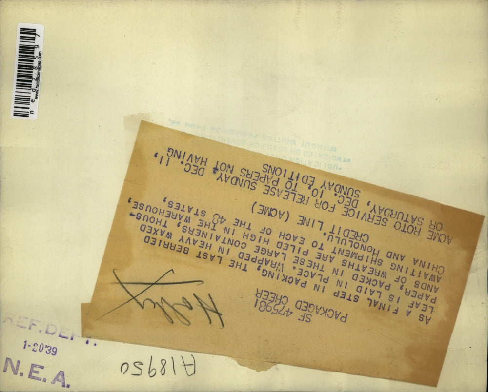 1938 Press Photo As final step in packing the last leaf is laid in place