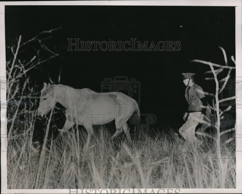 Load image into Gallery viewer, 1938 Press Photo Householder rescues his horse and drives it to safety
