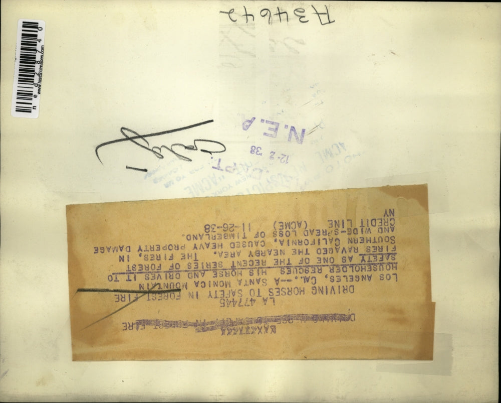 1938 Press Photo Householder rescues his horse and drives it to safety