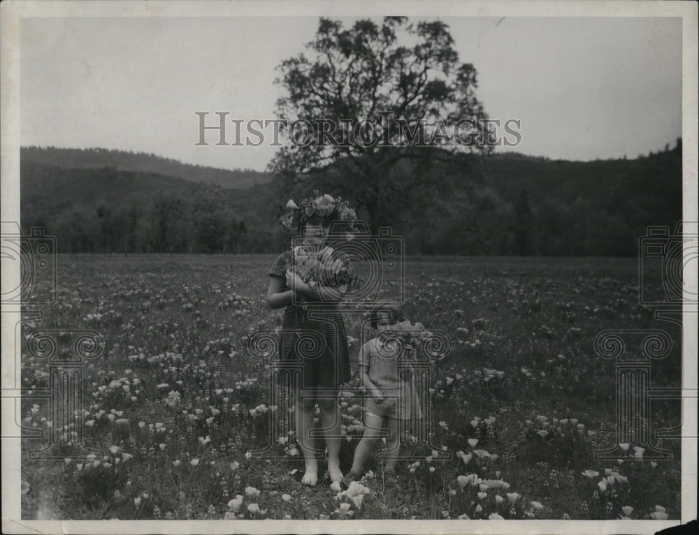 1934 Press Photo Barbara & Shirley Noble in fields of waiving California Poppies