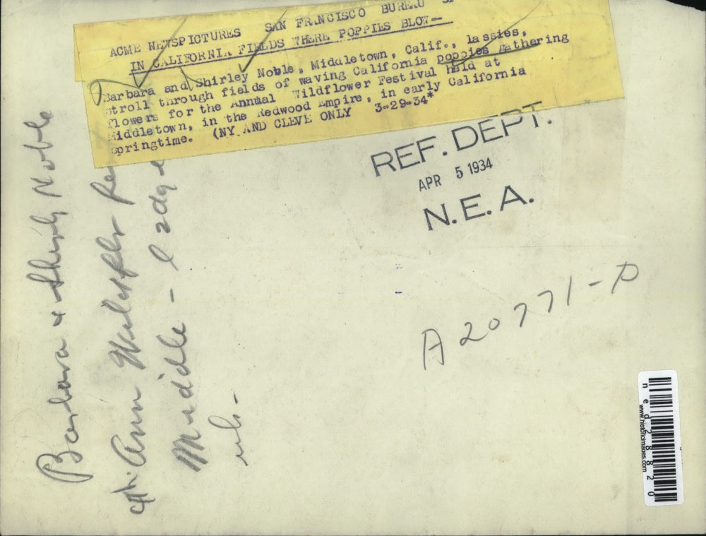 1934 Press Photo Barbara & Shirley Noble in fields of waiving California Poppies