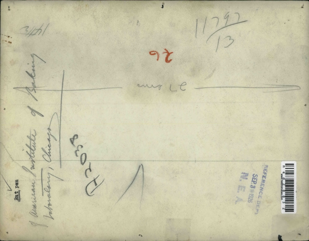 1926 Press Photo Rat pen of American Institute of Baking Laboratory, Chicago.