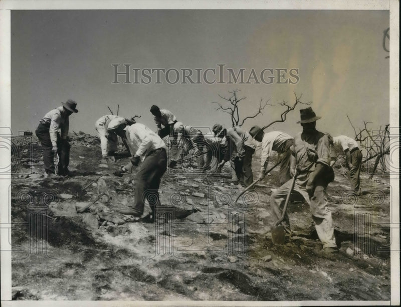 Load image into Gallery viewer, 1933 Press Photo Workmen raking over burned area looking for articles
