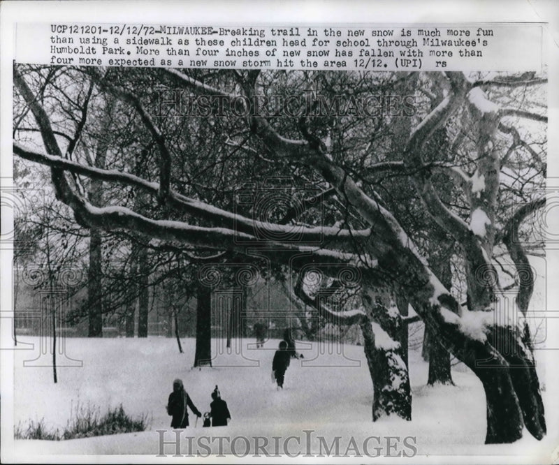 Load image into Gallery viewer, 1972 Press Photo Milwaukee breaking trail in new snow is much more fun than
