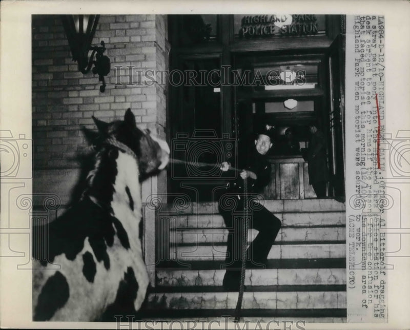 Load image into Gallery viewer, 1948 Press Photo Officer Al Bitterolf dragging a stray pony into the station.
