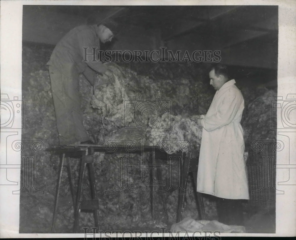 1939 Press Photo Michael Panit &amp; J. Frank Ding Inspect Wool For Queen Elizabeth- Historic Images