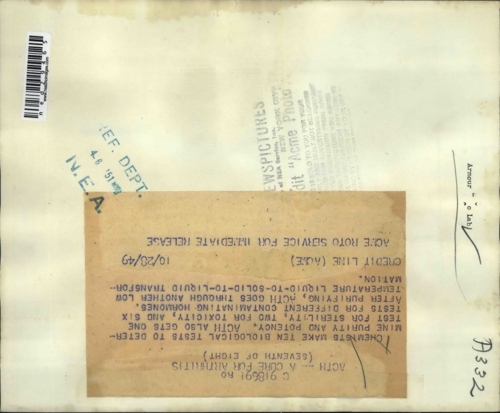 1949 Press Photo Chemists making biological tests to determine purity & potency