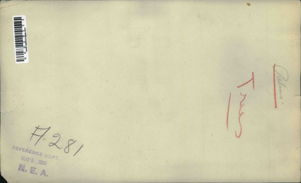 1920 Press Photo Palm trees in Raft Irrigation