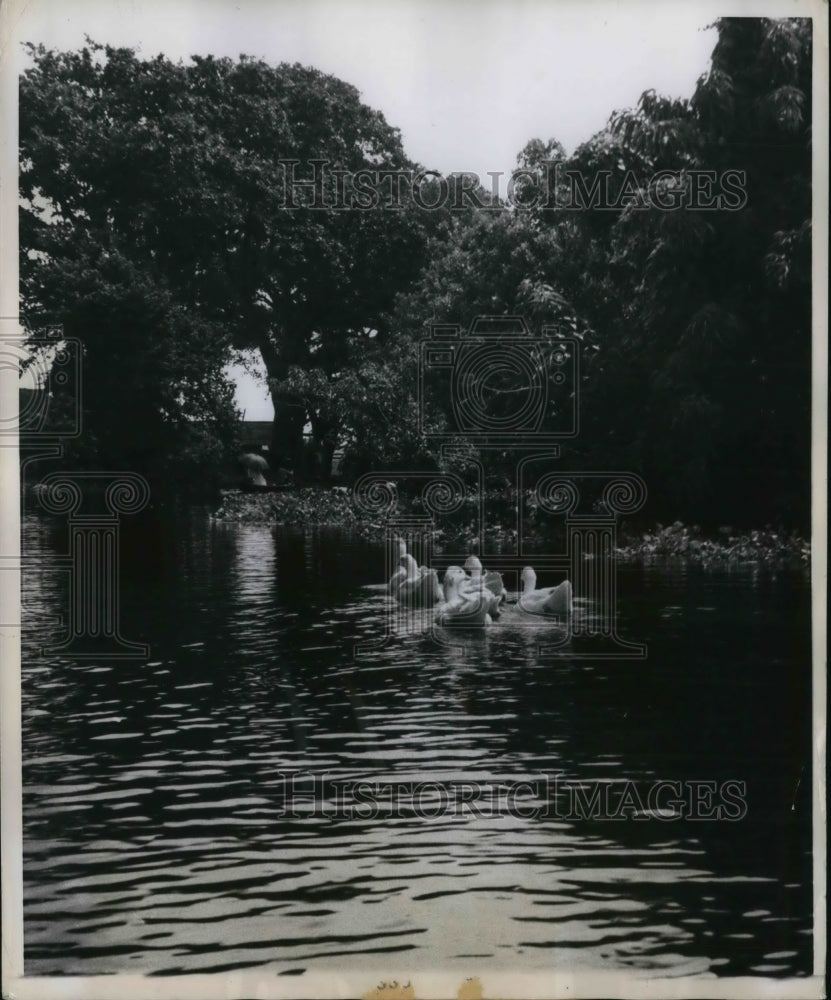 1960 Press Photo River in East Pakistan