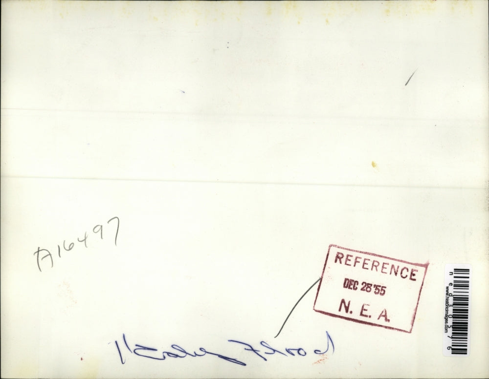 1955 Press Photo Guerneville Calif a home owner stands on high ground and