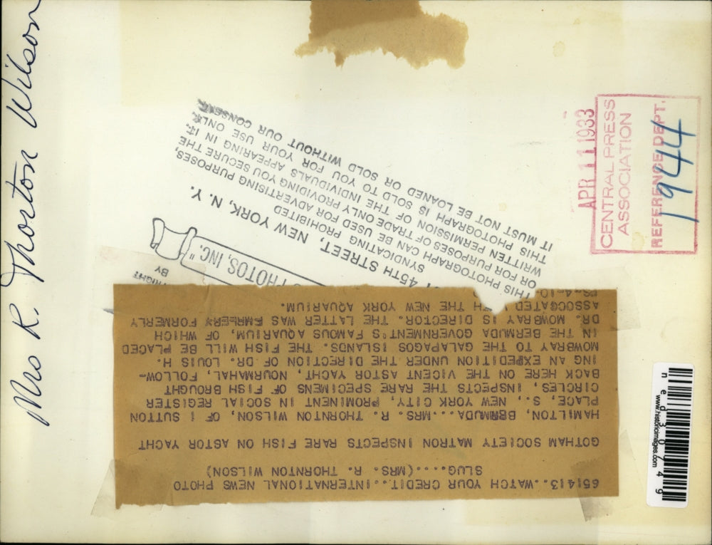 1933 Press Photo Mrs. R. Thornton Wilson inspects rare fish on Astor Yacht