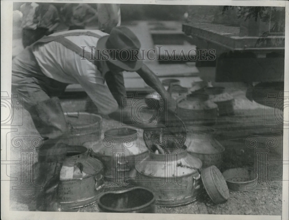 1934 Press Photo Planting trout at Spring Creek, Pennsylvania