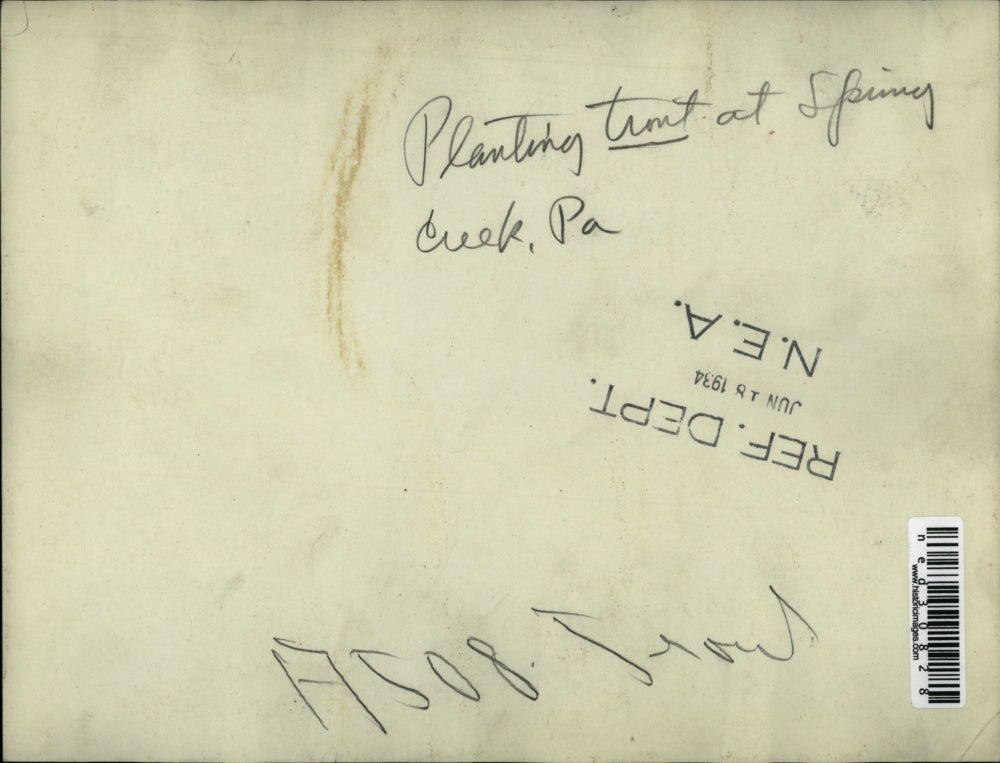 1934 Press Photo Planting trout at Spring Creek, Pennsylvania