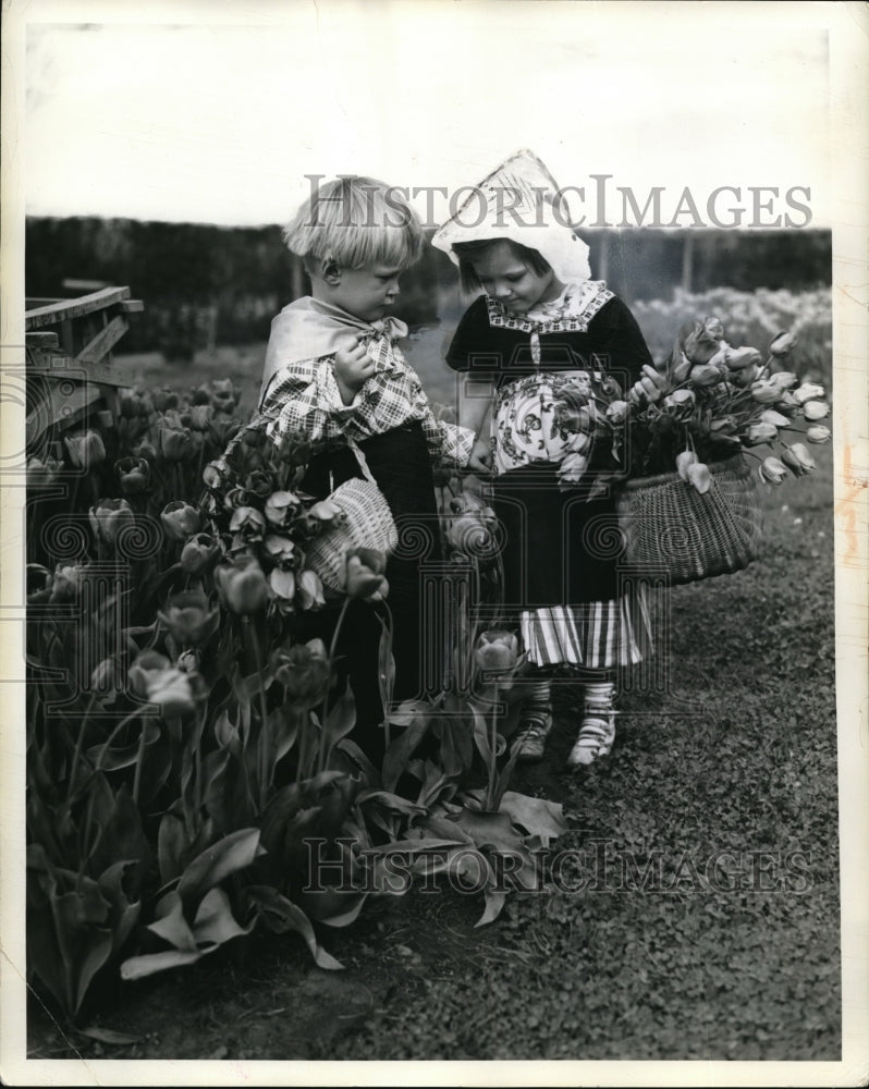 1942 Press Photo Albert and Wilhemina VanDorp whose father pioneered tulip